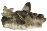 Smoky Quartz Crystal Cluster - Brazil #136166-2